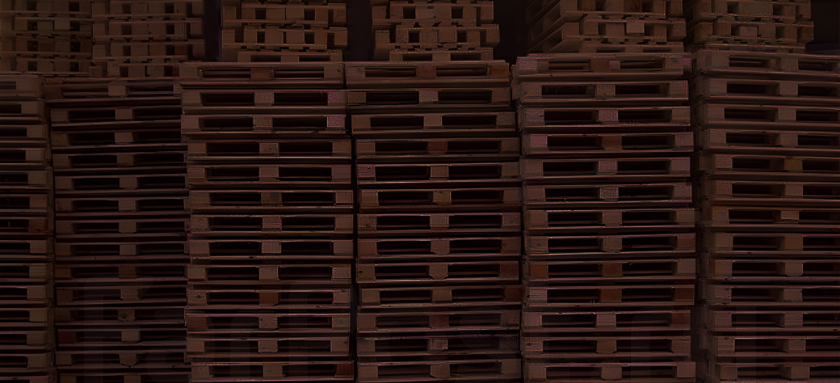 /banner.png